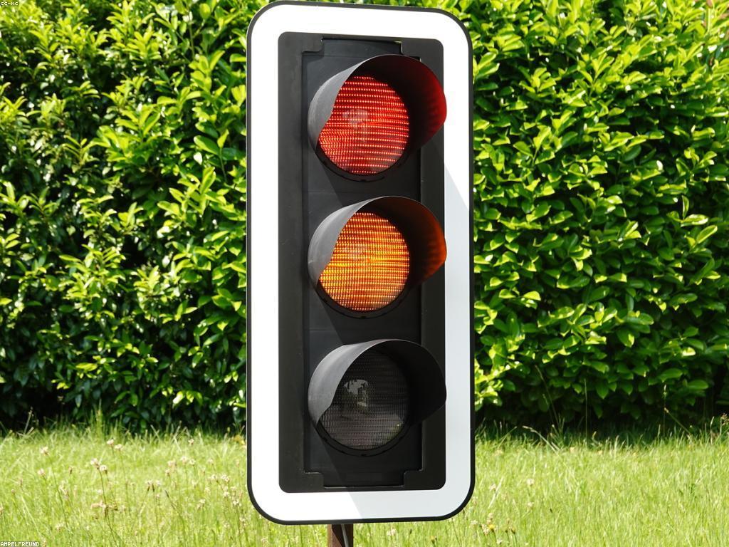 ព័ត៌មានអំពីការលេង: ជីវិតក្នុងពិភពវិចិត្រ