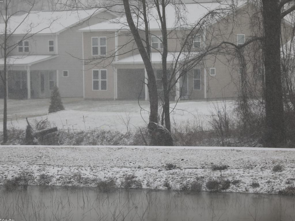 ប្រភេទហ្គេមដ៏ពេញនិយម