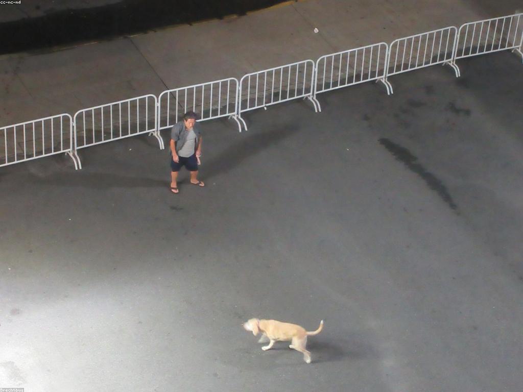 អត្ថប្រយោជន៍នៃការលេងហ្គេម