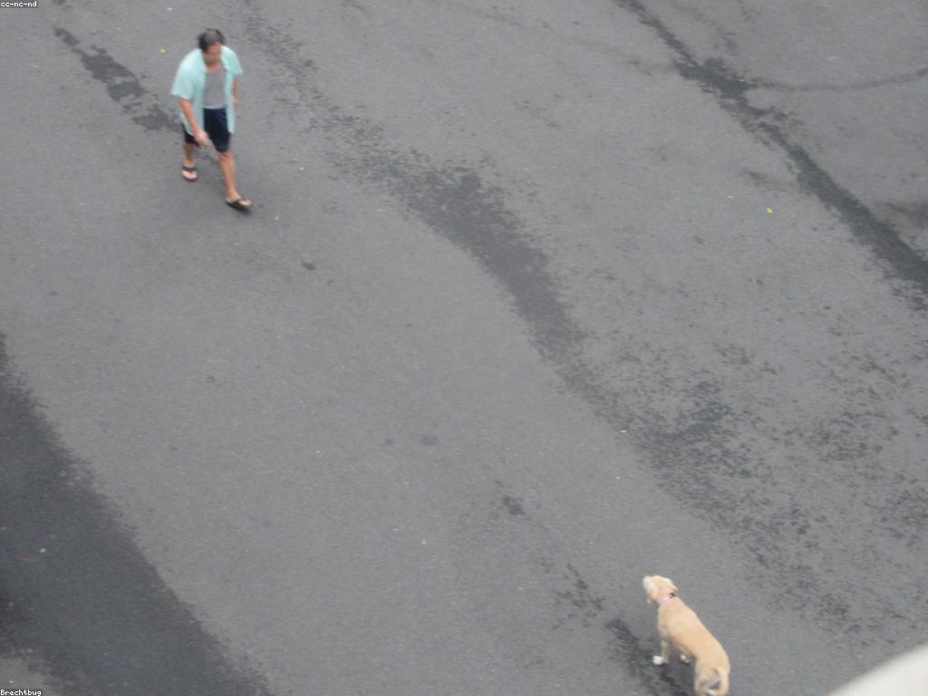 ព័ត៌មានអំពីការលេង: ទិសដៅនៃការលេងឱ្យមានអត្ថន័យ