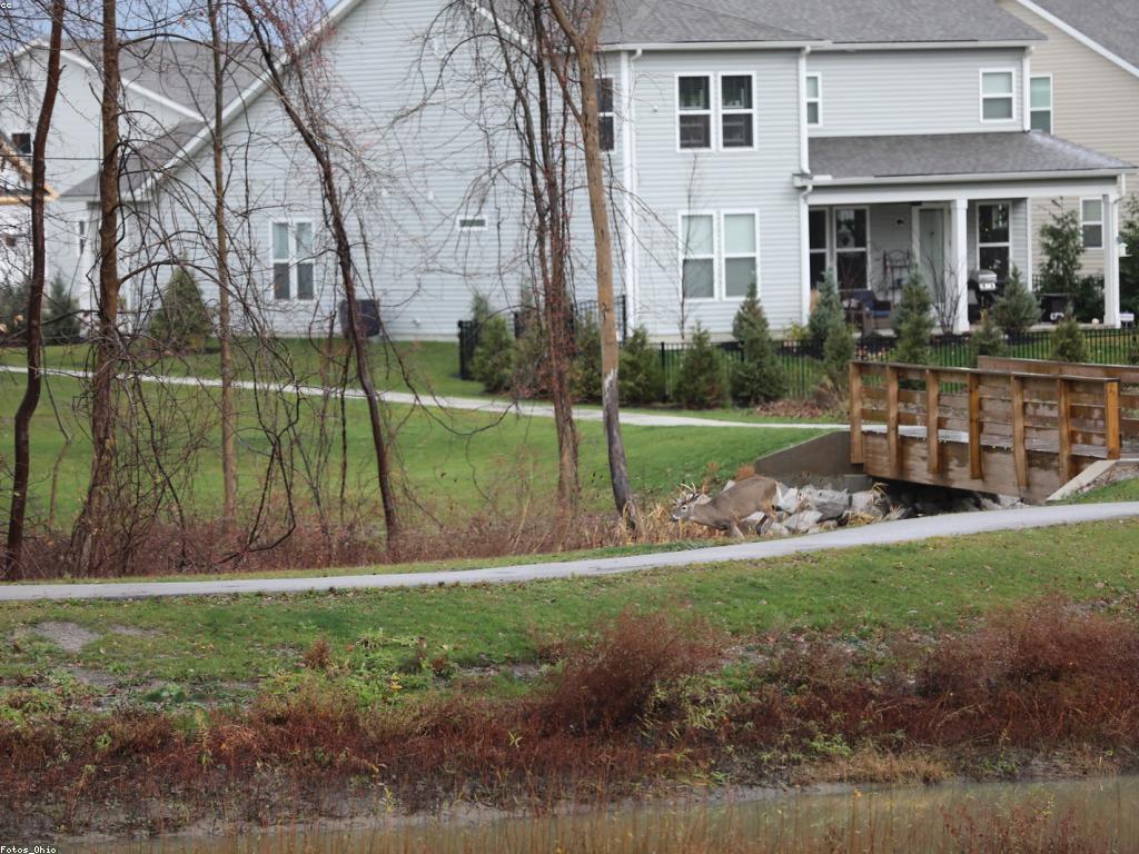 អត្ថប្រយោជន៍នៃការលេងហ្គេម